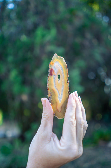 Petite Carnelian Agate Slice